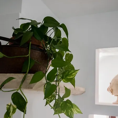 Casa Asteri' 度假居 *