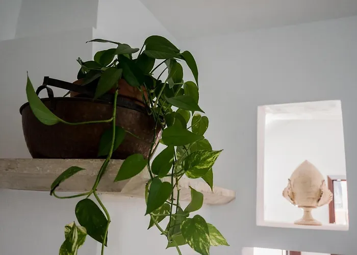 Casa Asteri' 度假居 *